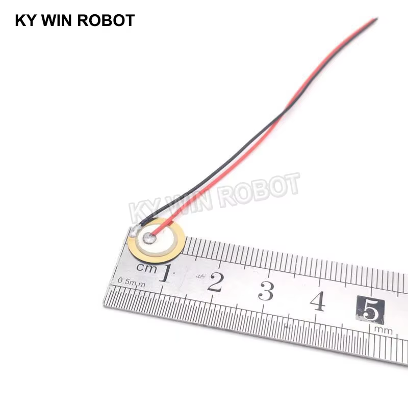 10 Pcs 압전 피에조 세라믹 웨이퍼 플레이트 직경  - Diy In Electronics 리뷰 및 가격